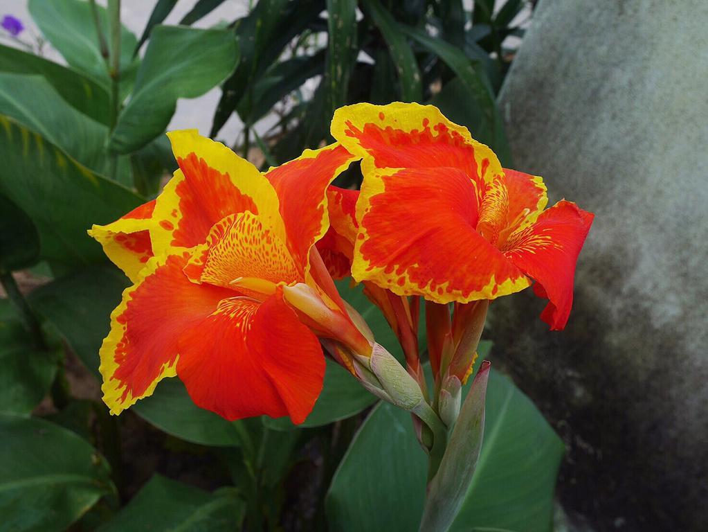 Suntalee House Hotel Nai Yang Ngoại thất bức ảnh